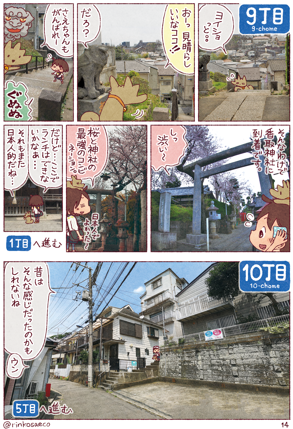 ����_�� �\��